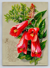 Antique Greeting Card Red Lilies With Poem Remember Me Victorian Era picture