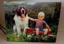 Scarce 1970S TOPPAN TOP STEREO 3D SAINT BERNARD BOY IN RED WAGON NOS picture