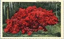 Postcard Scene in Bellingrath Gardens, Mobile, Alabama G118 picture