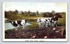 Cattle on Farm Cows Near Geneva Indiana IN Linen Postcard picture