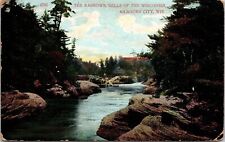 Narrow Dells Wisconsin Kilbourn City Forest Stream Reflections Dock Postcard picture