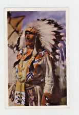 Vintage Postcard Native American STONY INDIAN CHIEF CHROME 5.5 X 3.5 picture