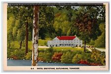 View Of Hotel Greystone Gatlinburg Tennessee TN Unposted Vintage Postcard picture