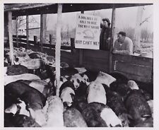 FARMERS & COMMUTERS PROTEST RR ROUTE * RARE 1955 FARMING RAILROAD FREIGHT Photo picture