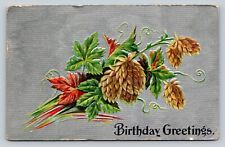 c1910 Birthday Greetings Textured Silver Front Embossed ANTIQUE Postcard 1093 picture