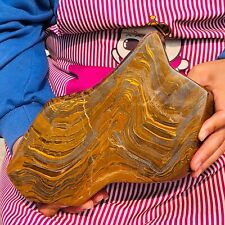 13LB Rare Natural Beautiful Yellow Tiger Crystal Mineral Specimen Healing 271 picture