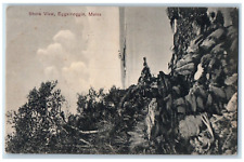 1908 Shore View Rock River Trees Eggemoggin Maine Vintage Antique PCK Postcard picture