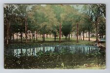 Greenville NY-New York, Lake in Park, c1911 Antique Vintage Souvenir Postcard picture
