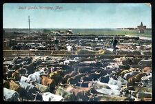 WINNIPEG Manitoba Postcard 1910s Stock Yards Farming picture