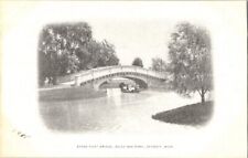 Vintage postcard - STONE FOOT BRIDGE, BELLE, issued by the Detroit news unposted picture