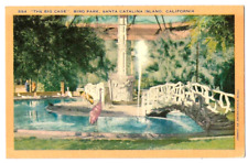 Santa Catalina Island California c1940's Bird Park, Big Cage, rustic bridge picture