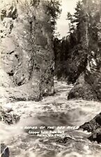 VINTAGE REAL PHOTO POSTCARD OF COPPER FALLS STATE PARK, MELLEN, WIS. NEVER USED picture