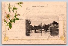 Postcard Germany Bad Oldesloe Parthie am Krahn Flower Litho c1900 AD30 picture