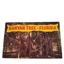 Postcard The Banyan Tree Florida Chrome Posted picture