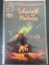 ADVANCED DUNGEONS & DRAGONS: LABYRINTH OF MADNESS #1 (1996) TSR COMIC LIMITED ED picture