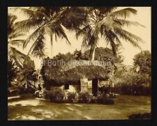 ANTIQUE PHOTO /  RURAL SCENE - HOUSE /  PUERTO RICO / 1920's-30's picture