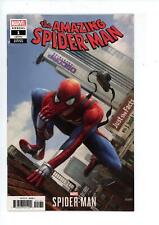 Amazing Spider-Man Annual #1 Chan Cover (2018) Marvel Comics picture