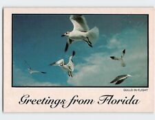 Postcard Gulls in Flight Greetings from Florida picture