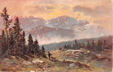 Hunter & Dog Near Forest on 1907 Mountain Landscape Postcard-Artist Muller picture