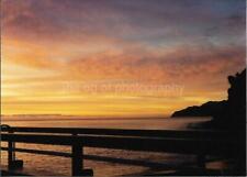 Sky On Fire FOUND PHOTOGRAPH Color WATERS OFF CATALINA ISLAND Original 21 63 P picture
