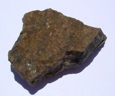 31.9 grams NWA xxxx unclassified Meteorite found 1990's in Northwest Africa picture