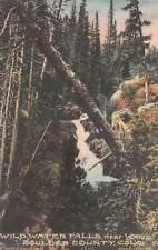 Wild Water Falls near Ward Colorado Boulder County Albertype Postcard picture