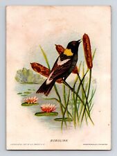 Victorian Trade Card Good-Will Soap Wrappers Customer Reward Bobolink GE Marsh picture