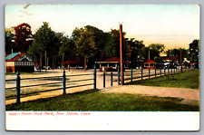 Postcard Savin Rock Park New Haven Connecticut picture