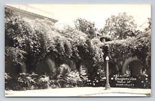 RPPC Giant Bougainvillea House of Hospitality SAN DIEGO CA VINTAGE Postcard picture