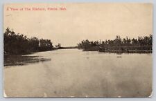 Vtg Post Card A View Of The Elkhorn, Pierce, Nebraska I91 picture