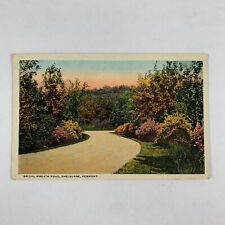 Postcard Vermont Shelburne VT Bridal Wreath Road 1920 Flower Botany picture