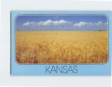 Postcard Oceans of golden wheat ripple the Kansas Landscape Kansas USA picture