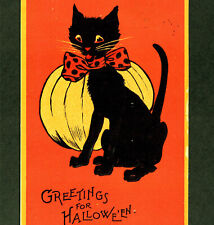 Greetings for Halloween 1914 Black Cat Sam Gabriel 122 Pumpkin Orange PostCard picture