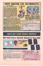 1969 AMAZING LIVE SEA-MONKEYS PRINT AD WALL ART - DON'T BE A HIGH SCHOOL DROPOUT picture