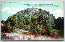 Michigan City Indiana~Yankee Slide Hill Near Washington Park~PM 1908~Postcard picture