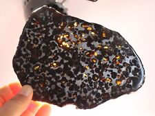 196g Slice meteorites, Rare slices of Kenyan Pallasite olive meteorite B3046 picture