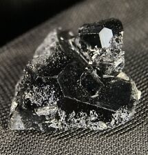 SHINY Terminated BLACK TOURMALINE Crystal Specimen Erongo Mountains NAMIBIA picture