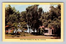 Mount Dora FL-Florida, Sylvan Shores Residences, Antique Vintage Postcard picture