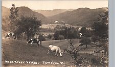 WEST RIVER VALLEY DAIRY FARM COWS jamaica vt real photo postcard rppc vermont picture