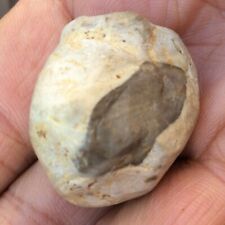 Lunar Meteorite 20 gram, Rare Moon Breccia Individual Rock Meteorite NEA picture