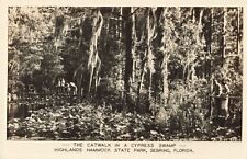 Catwalk Cypress Swamp Highlands Hammock State Park Sebring Florida c1940 RPPC picture