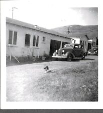 VINTAGE PHOTOGRAPH '43 CABINS/CARS/AUTOS/AUTOMOBILES CAT/KITTEN/FELINE OLD PHOTO picture