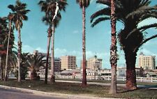 Postcard FL Palm Tree Drive Skyscrapers of Tampa Florida Chrome Vintage PC H7337 picture