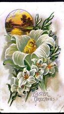 Vintage Antique Postcard Easter Baby Chick In White Flower Home Scene S23 picture