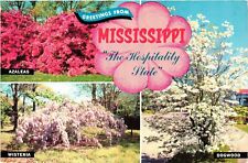 Vintage Postcard 4x6- Mississippi, The Hospitality State. picture