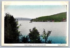 Lake Sunapee from Garnet Hill.  New Hampshire Vintage Postcard. Hand Colored picture