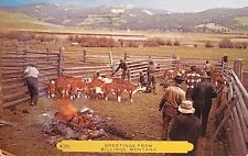 1957 Greetings Postcard From Billings, Montana. Branding Time. #-2103 picture