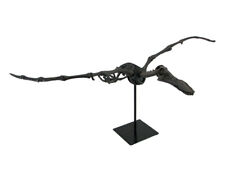 Zeckos Museum Mounted Pterosaur Flying Dinosaur Fossil Replica Statue picture