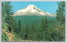 Mt. Hood, Oregon Postcard 3604 picture