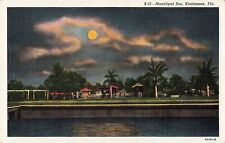 Kissimmee FL Florida, Municipal Zoo at Night by Moonlight, Vintage Postcard picture